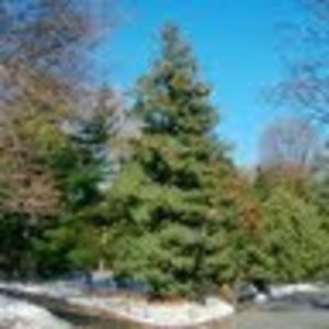 Meet your Posher, Helen j